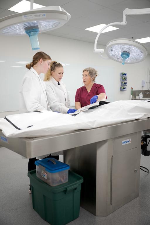 Professor and two students in a human biology lab